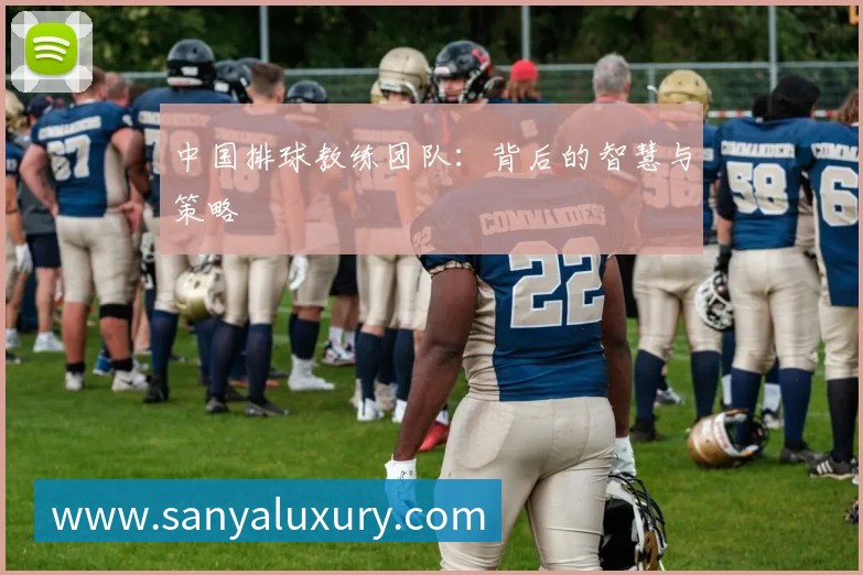 中国排球教练团队：背后的智慧与策略