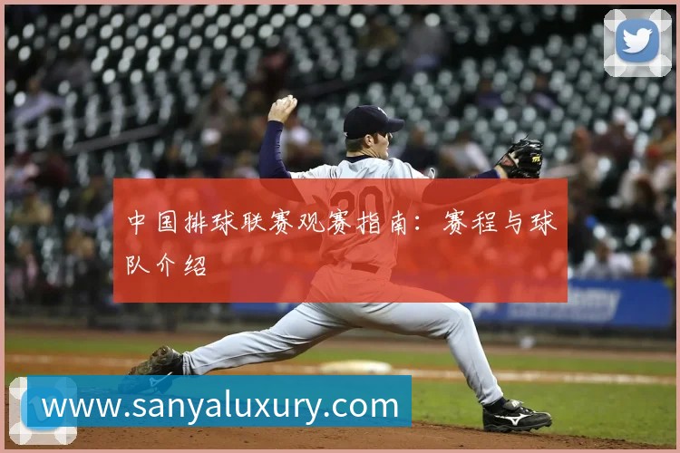 全球热力图