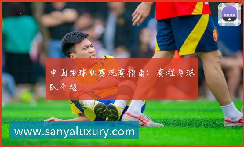 中国排球联赛观赛指南：赛程与球队介绍