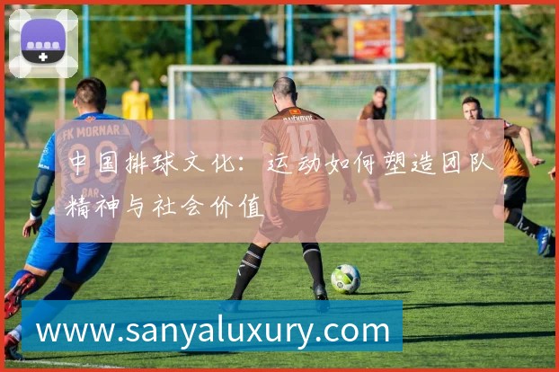 中国排球文化：运动如何塑造团队精神与社会价值
