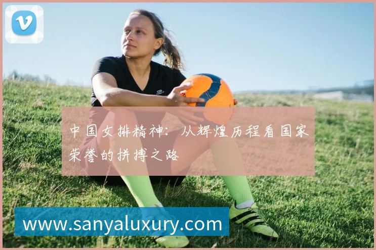 九游体育平台生态图