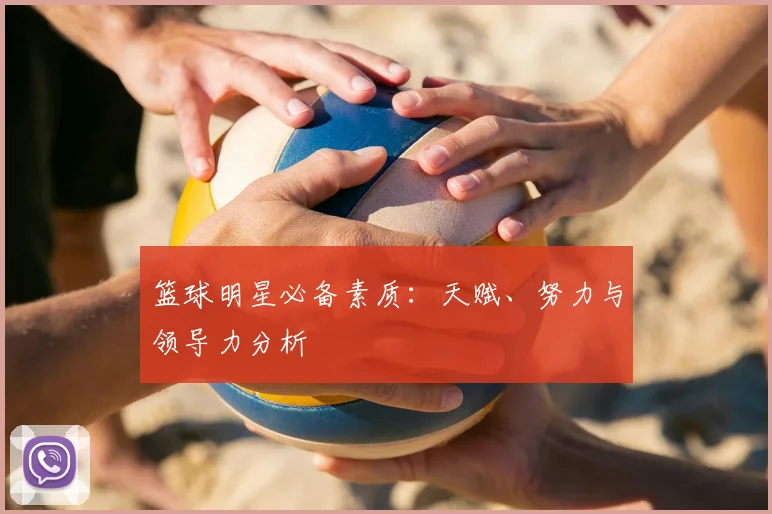 登录器